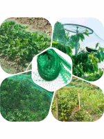 Сетка для защиты урожая от птиц (15*15мм), 2*10м. Nadzor Garden