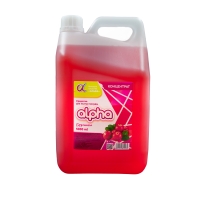 Средство для мытья посуды Альфа брусника 5л (концентрат) Канистра